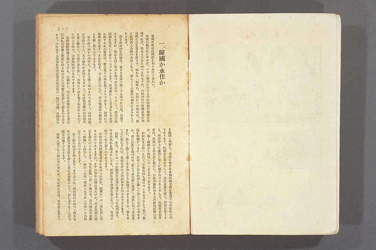 Image “Shungoro Wako's "Return to Japan or permanently settle"”