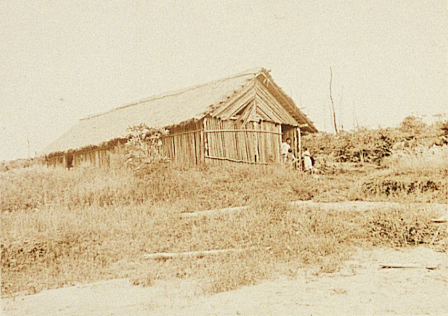 Image “Elementary school at a colony”