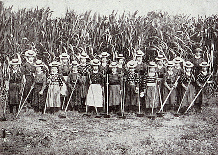 Image “Female sugarcane plantation workers during the time of government sponsored emigration”