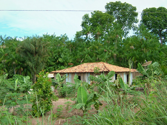 Imagem «Jardim doméstico»