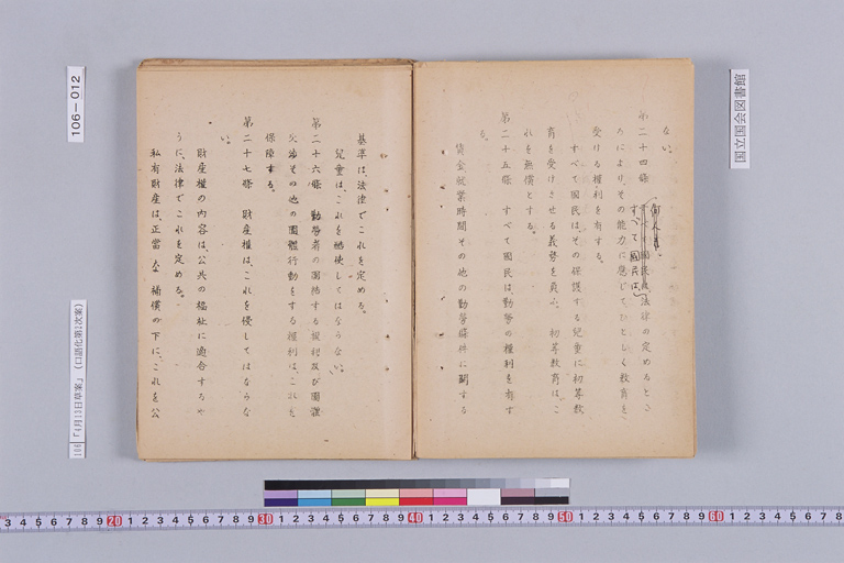 『日本国憲法［憲法口語化第二次草案］』(標準画像)