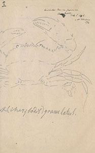 The image of crab from Kinka kaifu, vol. 2
