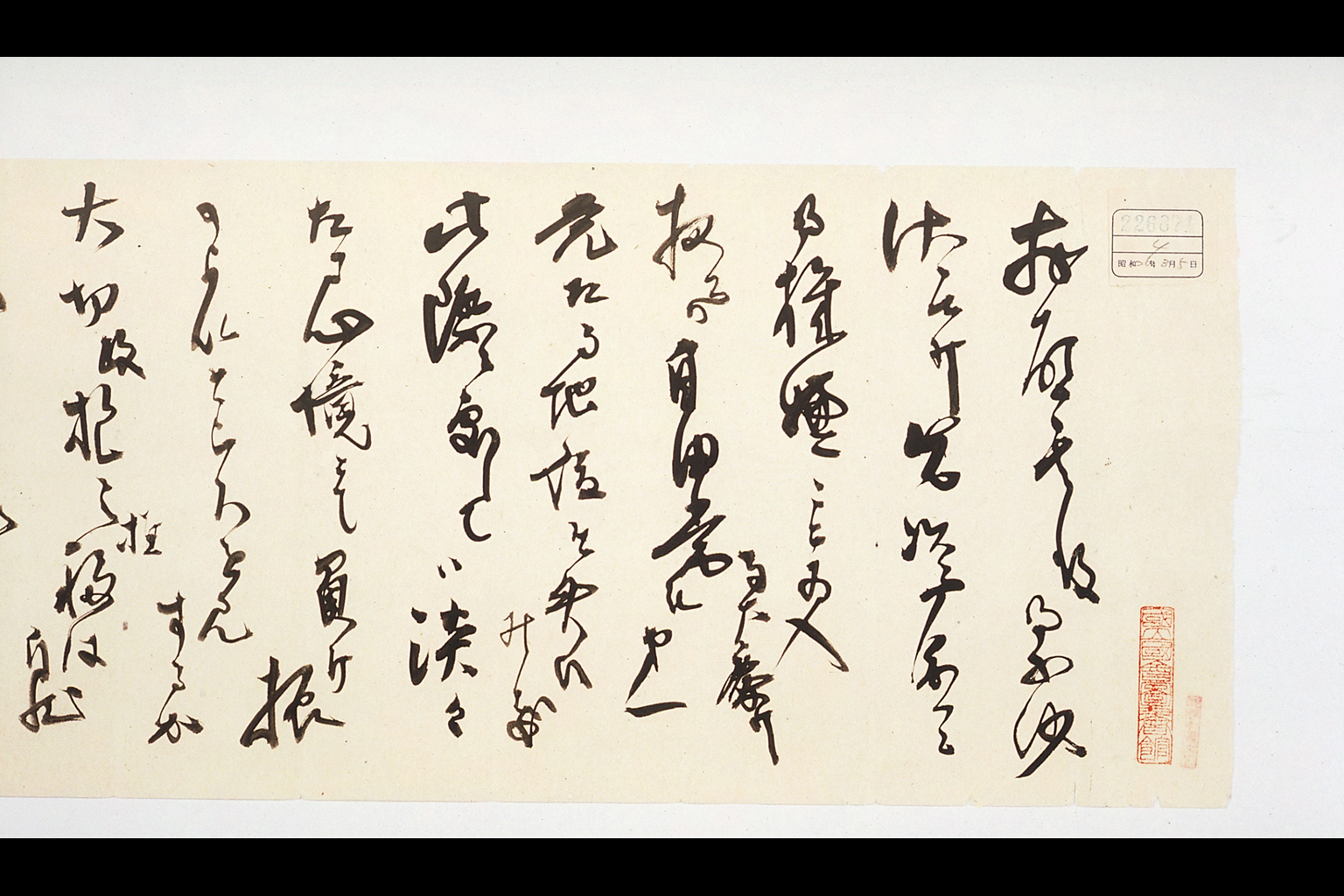 Letter of YOSHIDA Shigeru to MAKINO Nobuaki(larger)