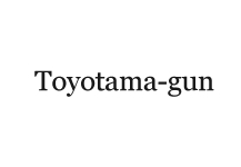 Toyotama-gun