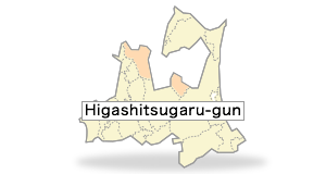 Higashitsugaru-gun