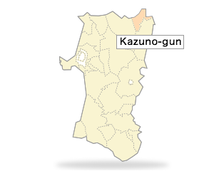 Kazuno-gun