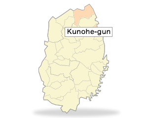 Kunohe-gun