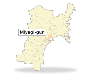 Miyagi-gun