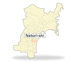 Natori-shi