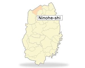 Ninohe-shi