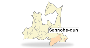 Sannohe-gun