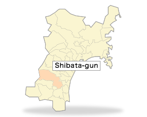 Shibata-gun