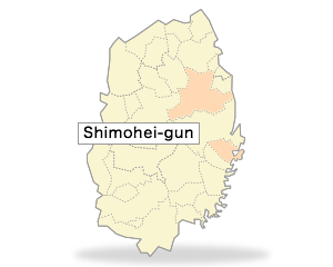 Shimohei-gun
