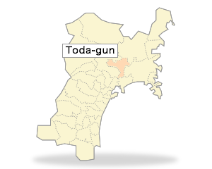 Toda-gun