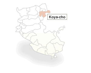 Ito-gun,Koya-cho