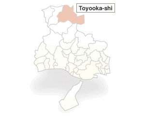 Toyooka-shi