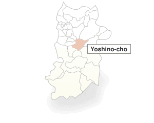 Yoshino-gun