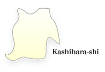 Kashihara-shi