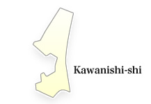 Kawanishi-shi