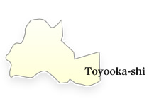 Toyooka-shi