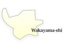 Wakayama-shi