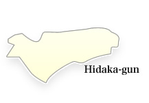 Hidaka-gun