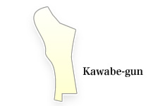 Kawabe-gun