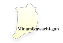 Minamikawachi-gun
