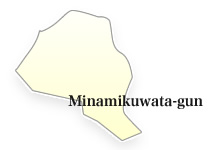 Minamikuwata-gun