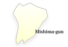 Mishima-gun
