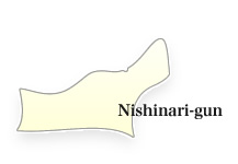 Nishinari-gun