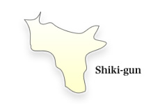 Shiki-gun