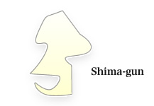 Shima-gun