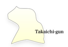 Takaichi-gun