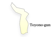 Toyono-gun