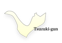 Tsuzuki-gun