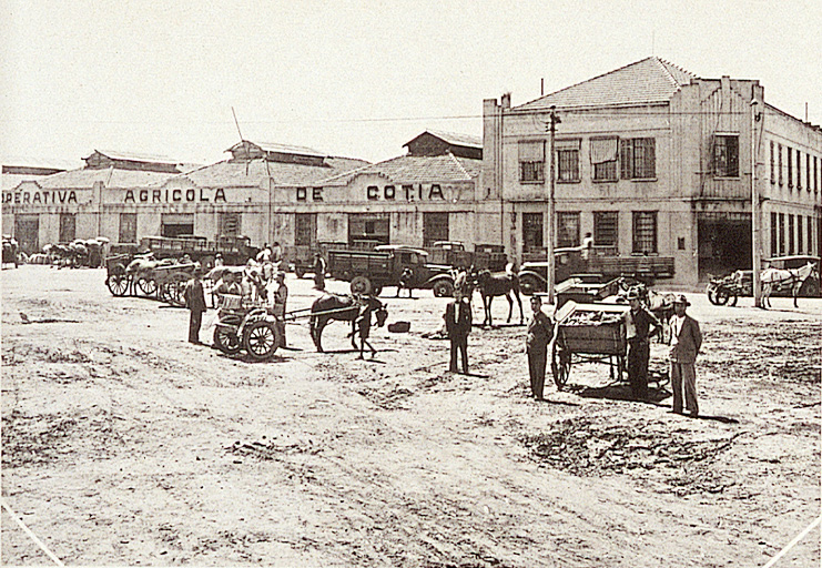 Imagem «Panorama da Cooperativa Agrícola de Cotia, mantida por japoneses»