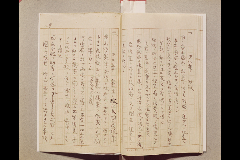 『日本共和国憲法私案要綱』(標準画像)