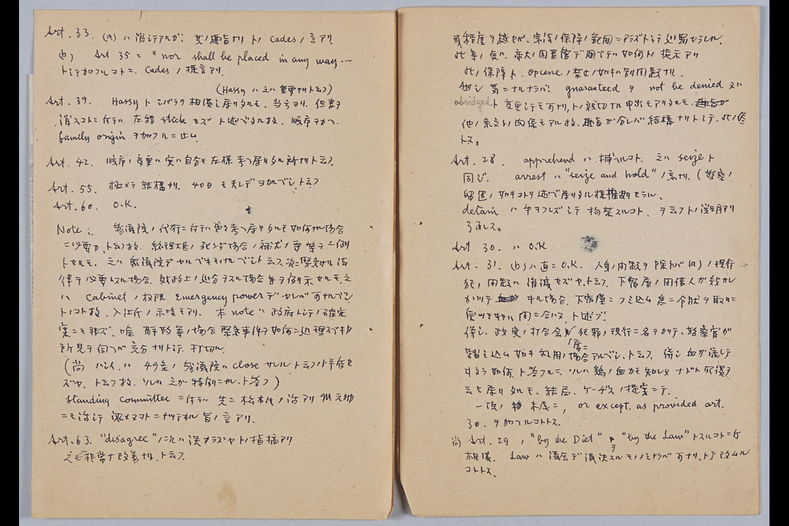 [Yoko no Ichibu Teisei no Irie Sato - Kejisu no Kaidan no Oboe](Larger image)