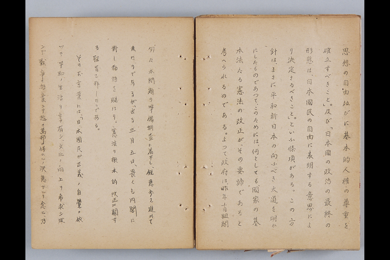 『枢密院委員会記録』(拡大画像)