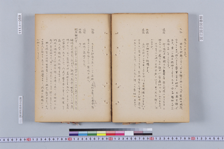 『枢密院委員会記録』(標準画像)