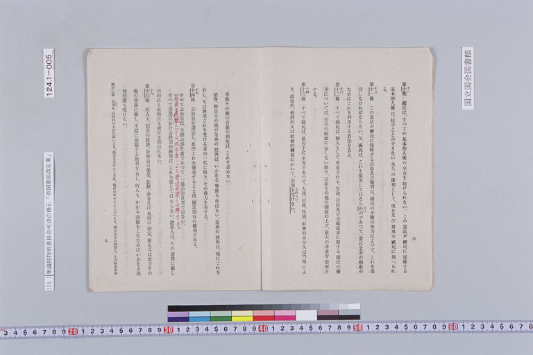 [Hokokusho Teikoku Kenpo Kaiseian (Seifu Teishutsu)](Regular image)