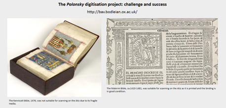 Results of Polonsky Foundation Digitization Project explained in the PDF below