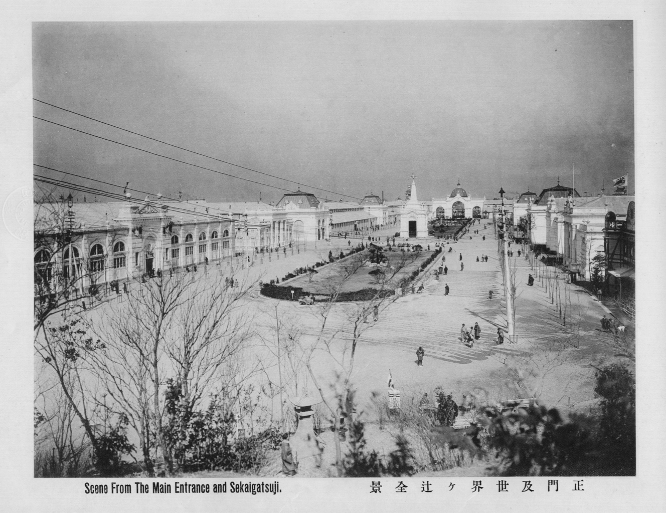 標準画像を開く