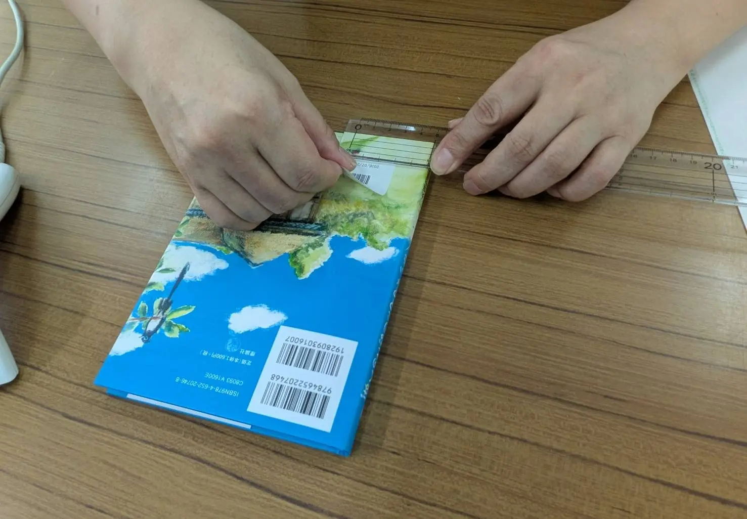 住吉小学校図書館の装備作業