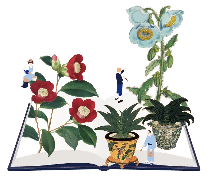 「冒険する園芸 ―庭先から世界へ」イメージ画像