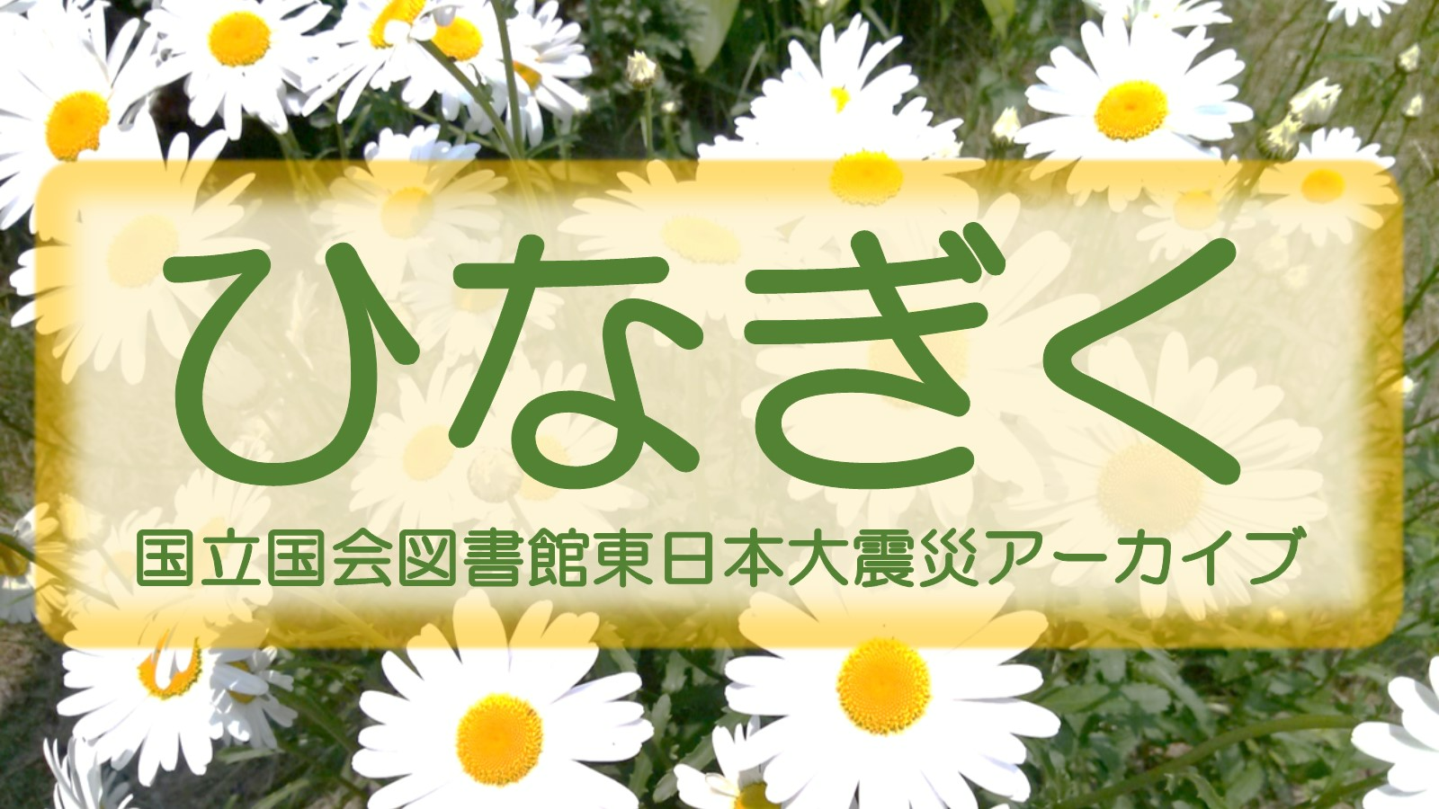 ひなぎくでは、様々な機関と協力して東日本大震災に関する記録を収集・保存・提供しています。写真、動画、文書、ウェブサイト、蔵書目録をまとめて検索できます。