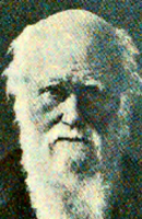 un portrait de DARWIN, Charles Robert