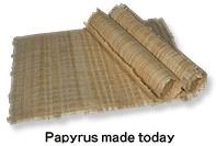 Papyrus made today