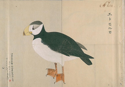 Etohiruka-zu from Kinka kinfu, vol. 4